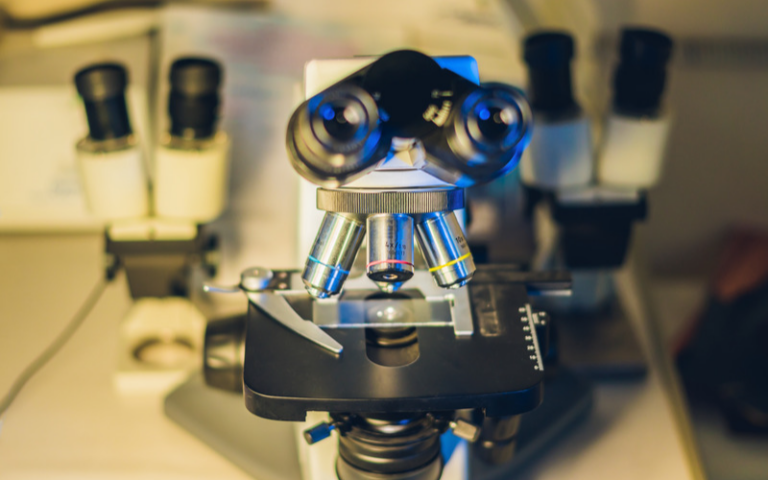 Different Types Of Microscopes A Comprehensive Guide